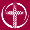 NRVC curriculum updated