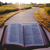 The scriptural roots of calling in our synodal church